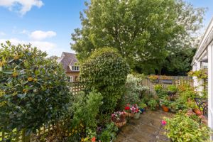 Patio Garden- click for photo gallery